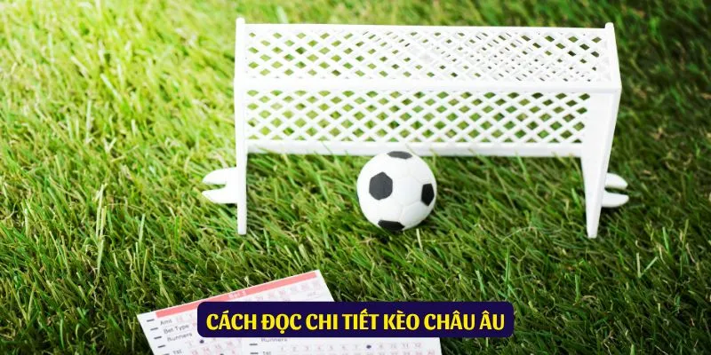 Hiểu biết về kèo cho anh em mới vào nghề
