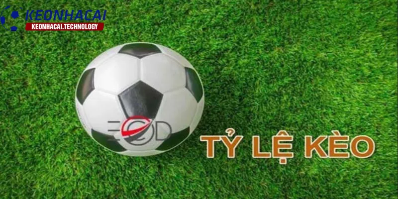 Khái niệm tỷ lệ kèo giúp bạn hiểu rõ hơn